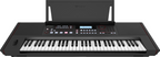 Roland E-X50 Arranger Keyboard with Bluetooth and Speaker System (Black)