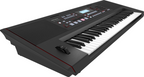 Roland E-X50 Arranger Keyboard with Bluetooth and Speaker System (Black)