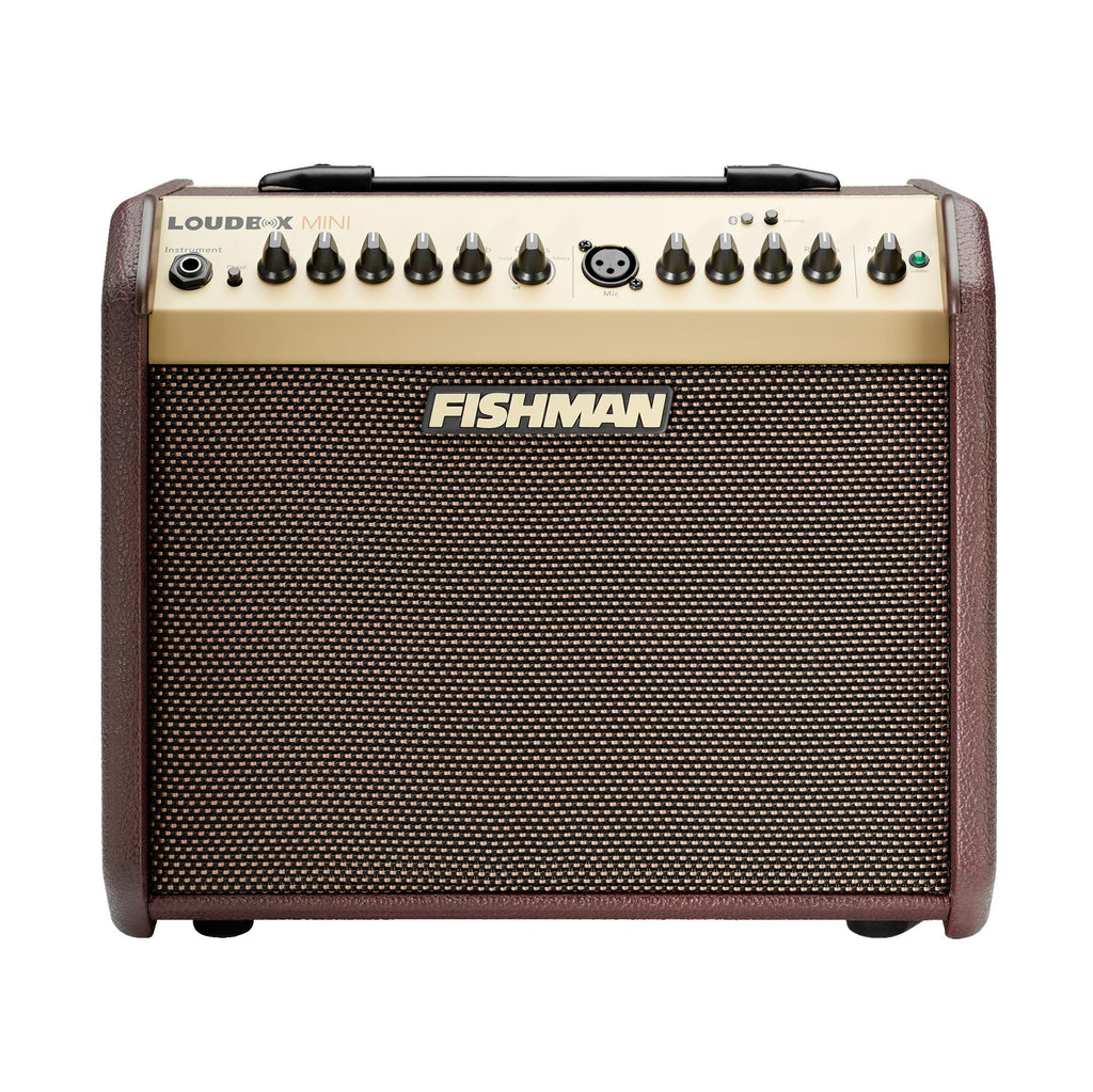 Fishman Loudbox Mini Bluetooth acoustic guitar amplifier with control knobs and input jacks on a white background
