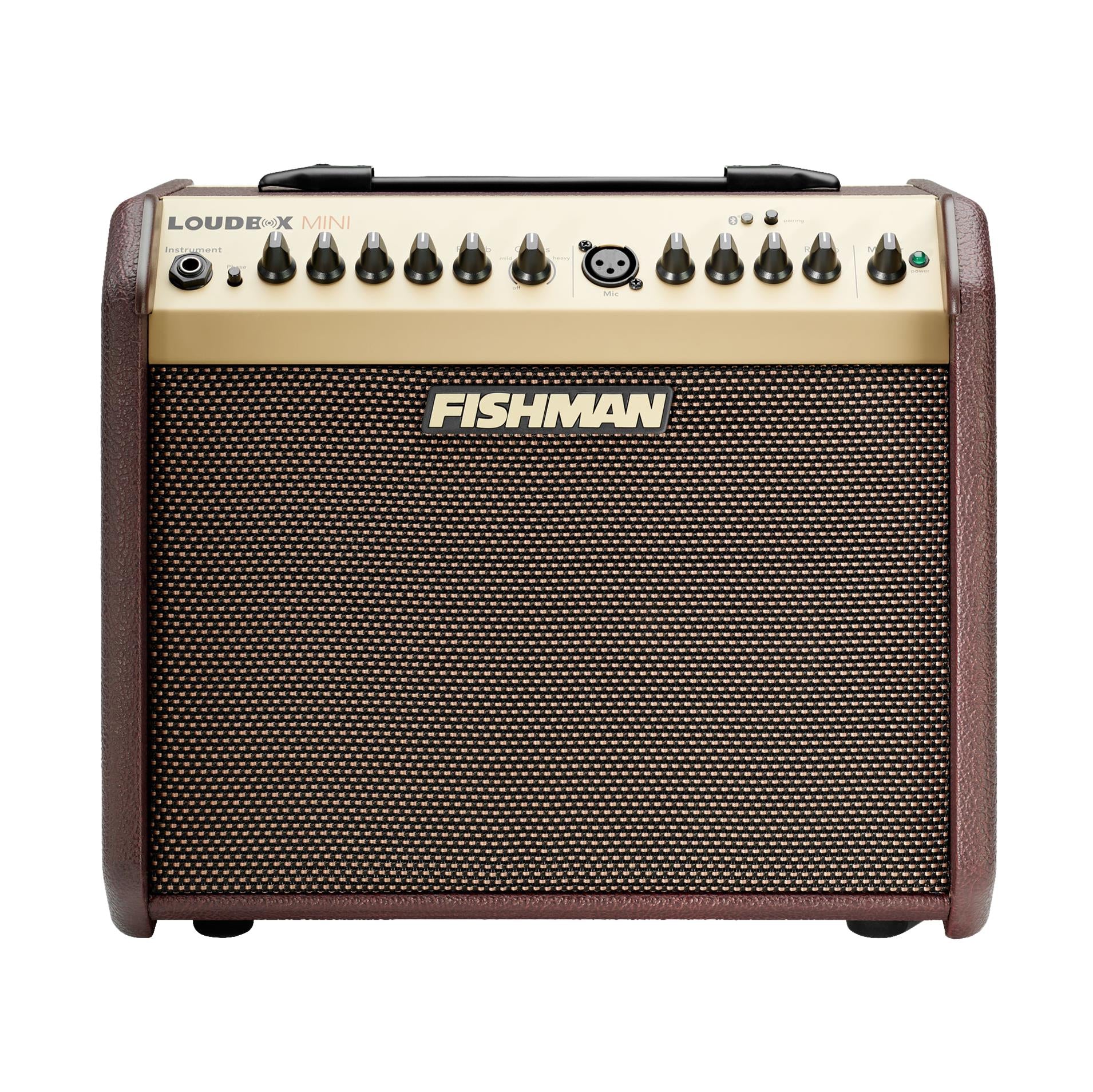 Fishman Loudbox Mini Bluetooth acoustic guitar amplifier with control knobs and input jacks on a white background
