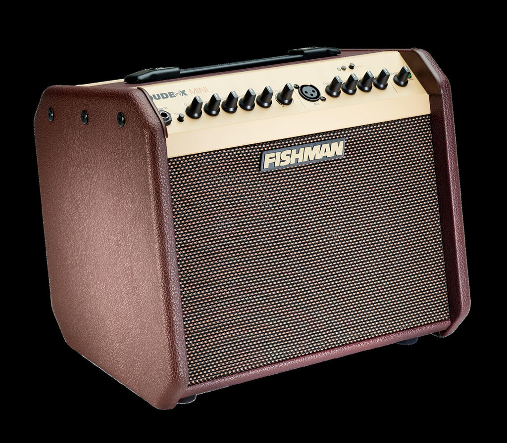 Fishman Loudbox Mini Bluetooth acoustic guitar amplifier with control knobs and display, designed for live sound and practice.