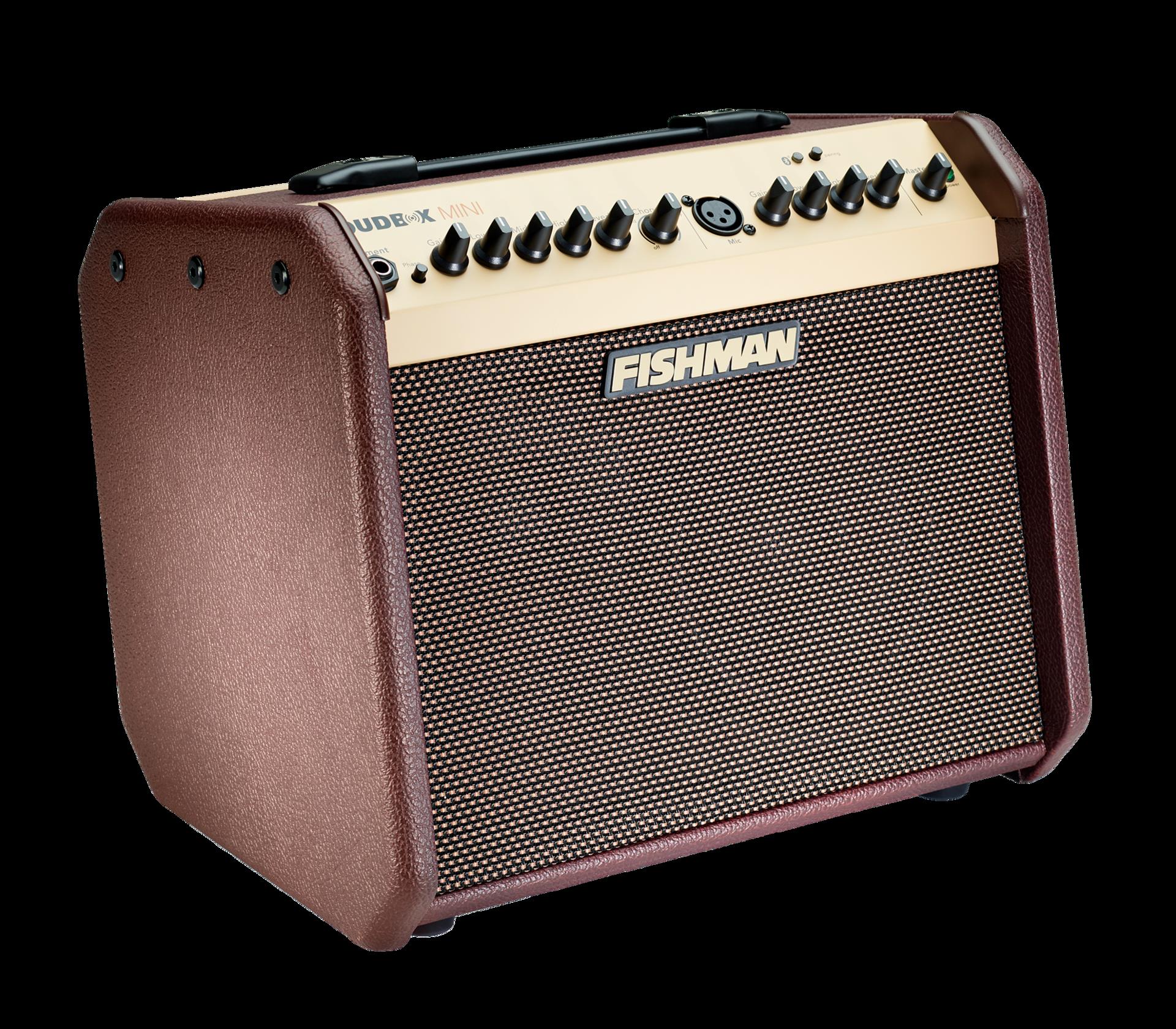 Fishman Loudbox Mini Bluetooth acoustic guitar amplifier with control knobs and display, designed for live sound and practice.