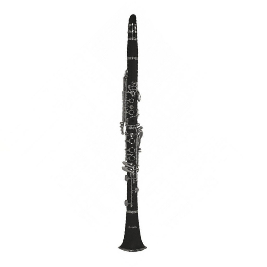 Fontaine FBW210 B-flat Clarinet (Bb)