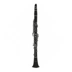 Fontaine FBW210 B-flat Clarinet (Bb)