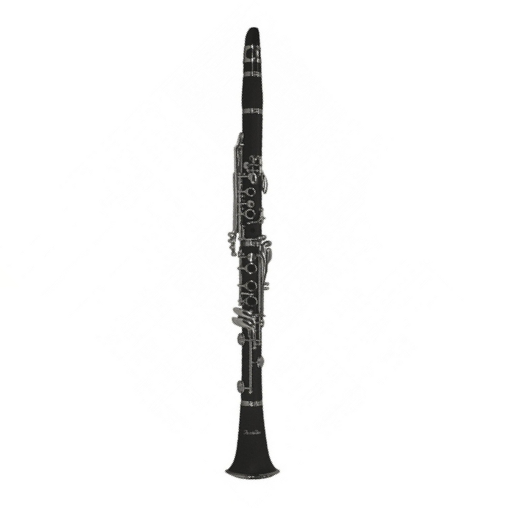 Fontaine FBW210 B-flat Clarinet (Bb)