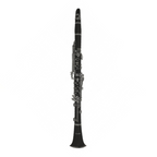 Fontaine FBW210 B-flat Clarinet (Bb)