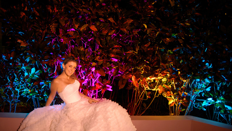 Chauvet DJ Fredom Flex H4 IP Battery Powered LED Par