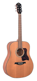 Gilman GD12 Dreadnought Acoustic Guitar in Natural Satin
