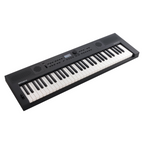 Roland GO:KEYS 5 Graphite Portable Keyboard