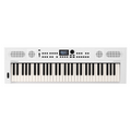 Roland GO:KEYS 5 White Portable Keyboard