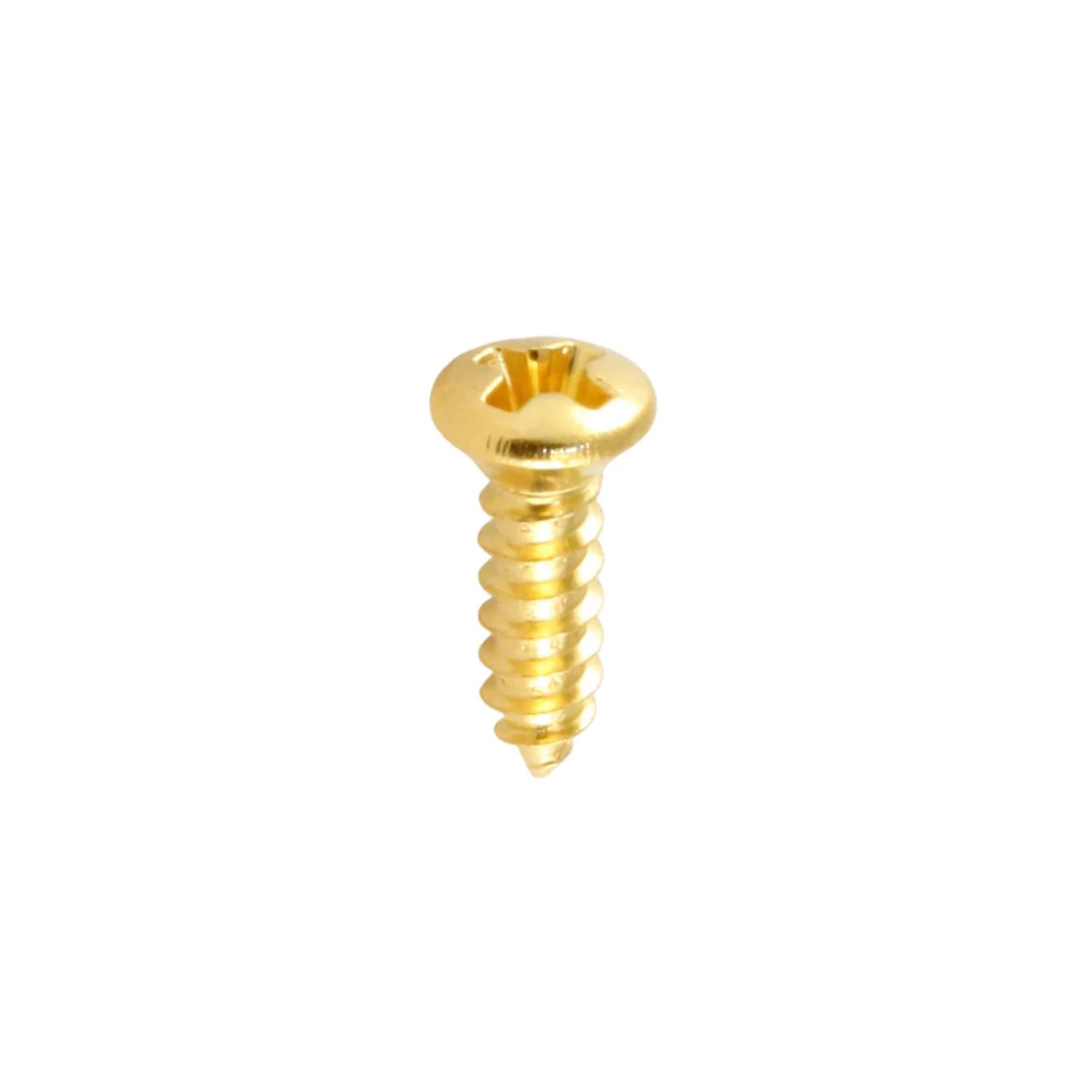 Gold screw-in scratchplate screw for AMS GP957G guitar parts, showing a close-up of the brass hardware on a guitar.
