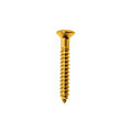 MOUNTING RING SCREW