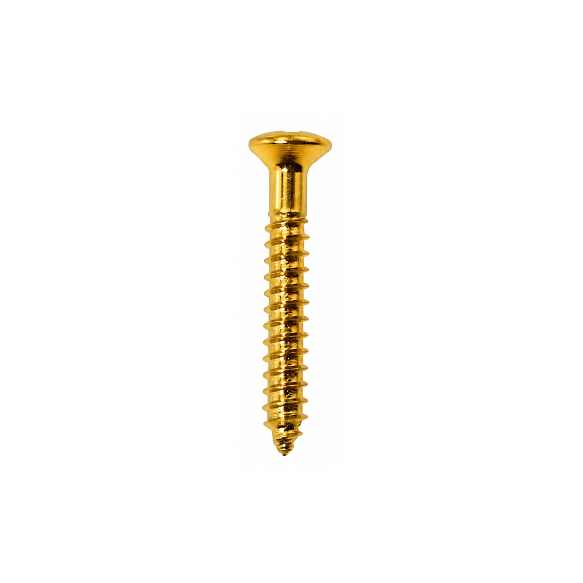 MOUNTING RING SCREW