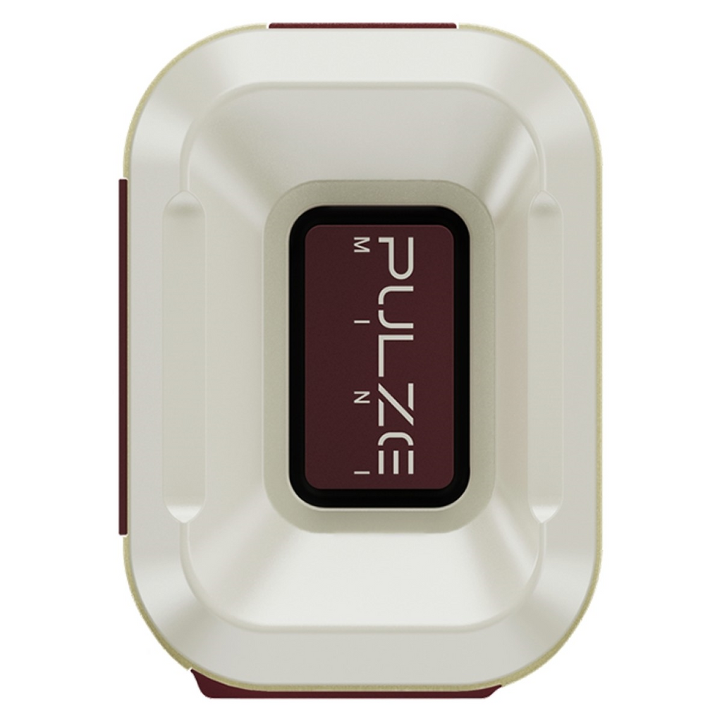 Hotone Pulze Mini Portable Modeling Amplifier