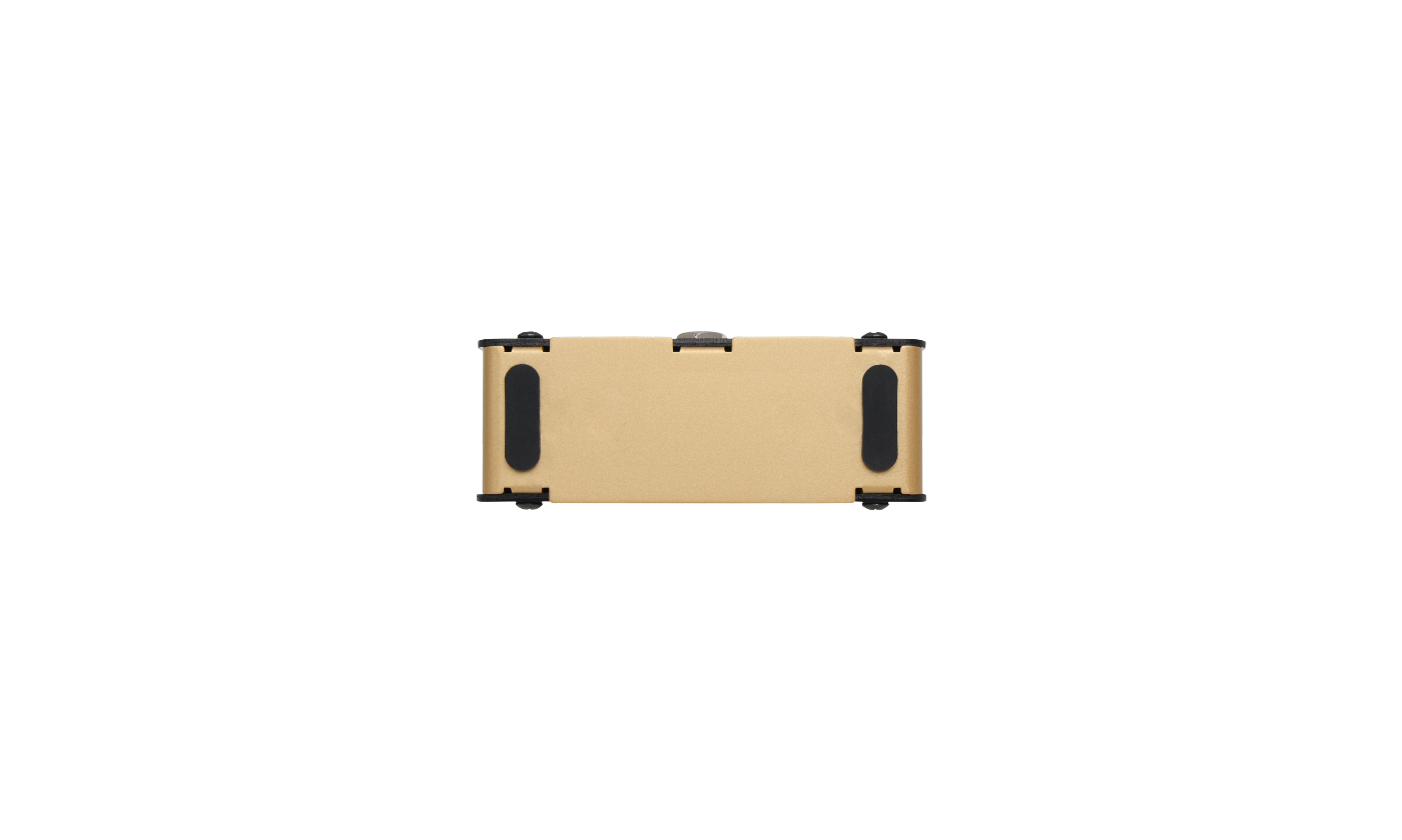 Hotone Ampero Dual Foot Switch