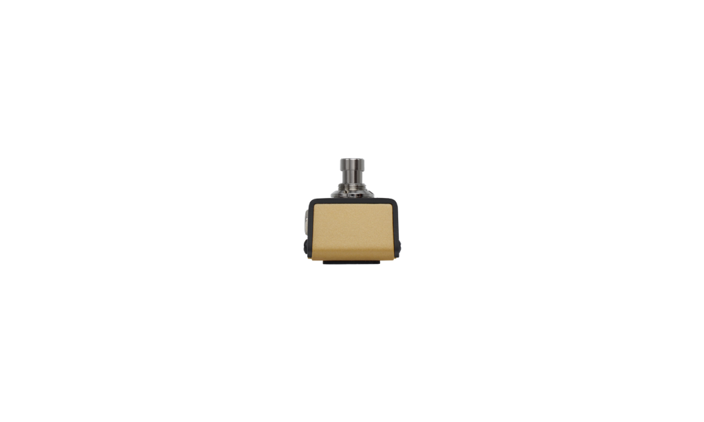 Hotone Ampero Dual Foot Switch