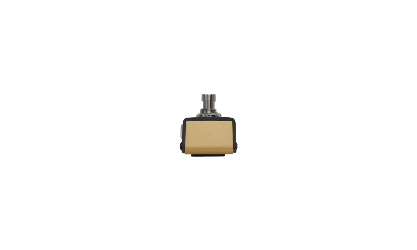 Hotone Ampero Dual Foot Switch