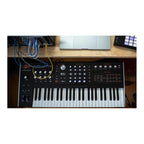 ASM Hydrasynth 49-Note Polyphonic Keyboard