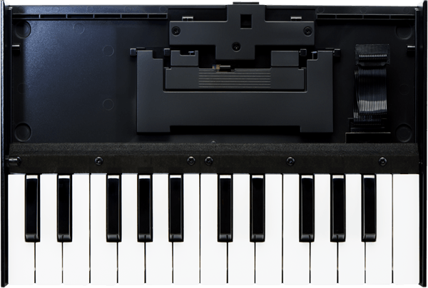 Roland K-25M Boutique Series Keyboard Unit Sound Module