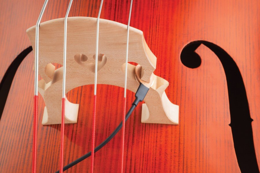 KNA DB-1 Double Bass Piezo Pickup installed on a double bass, showcasing the KNA Pickups KNA DB-1 pickup for acoustic bass instruments.