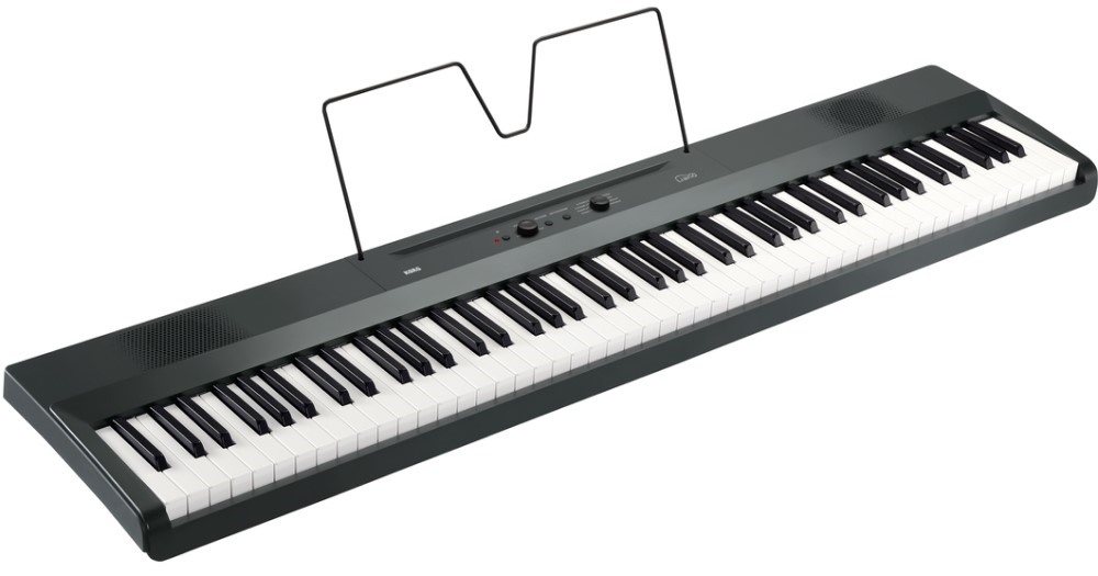 Korg Liano Portable 88-Key Light-Touch Digital Piano - Metallic Gray