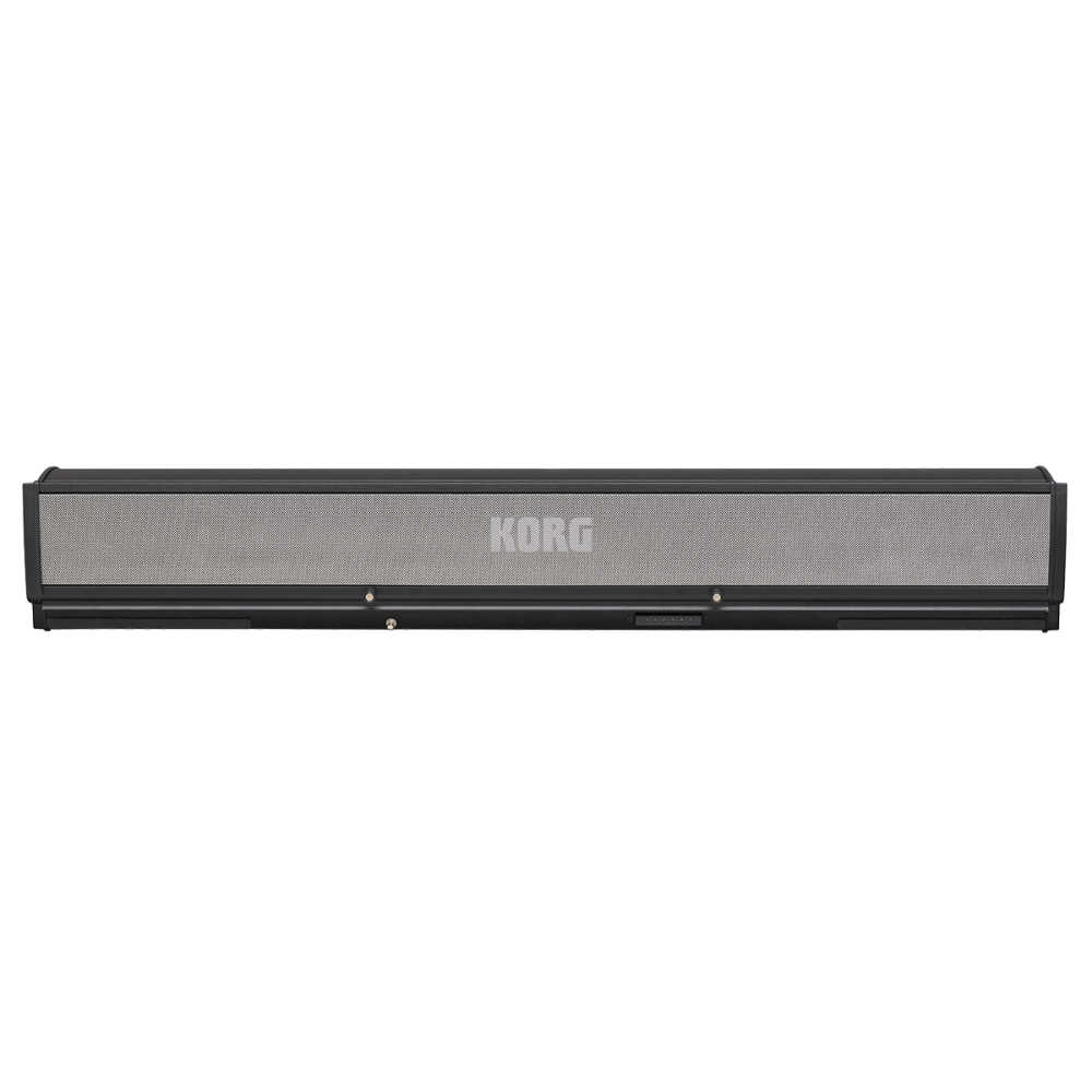 Korg PaAS MK2 Speaker System