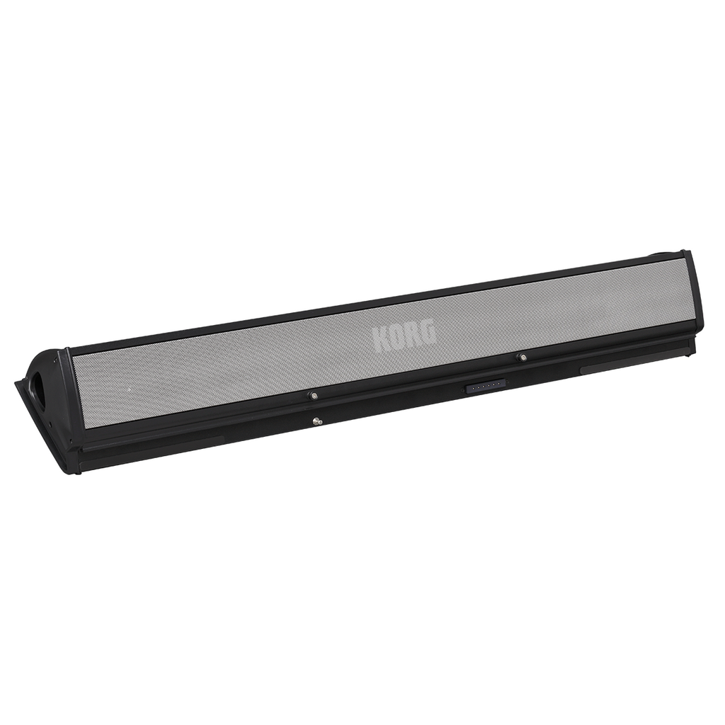 Korg PaAS MK2 Speaker System