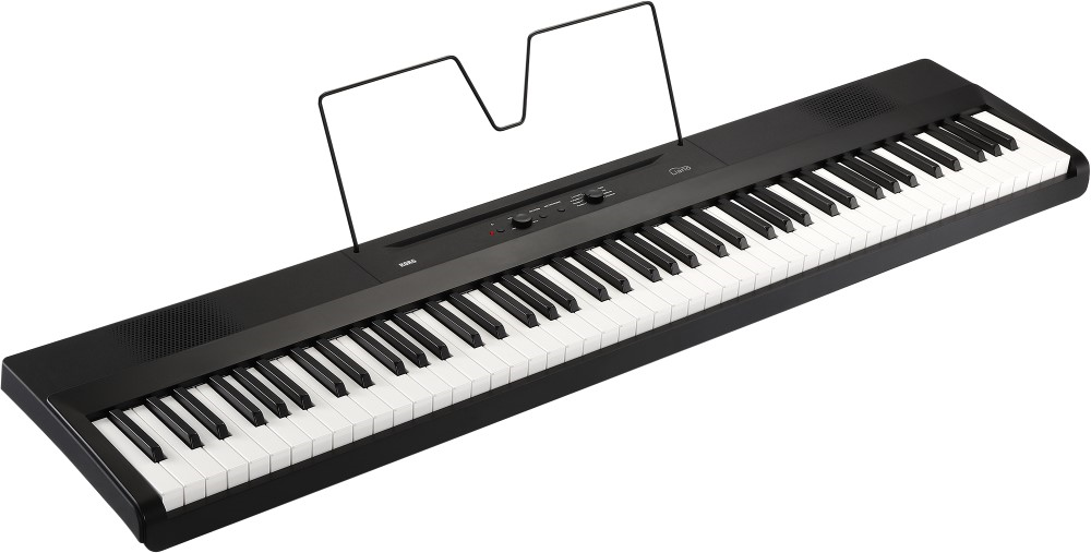 Korg Liano Portable 88-Key Light-Touch Digital Piano - Black