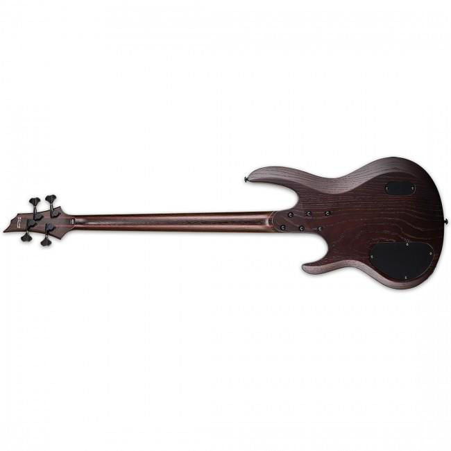 LTD B-1004 Multi-Scale Bass Guitar in Ziricote Natural