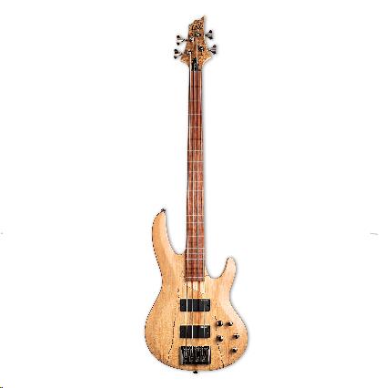 ESP LTD B-204 4-string fretless bass guitar with spalted maple top in natural finish, showcasing smooth curves and fretless fingerboard.