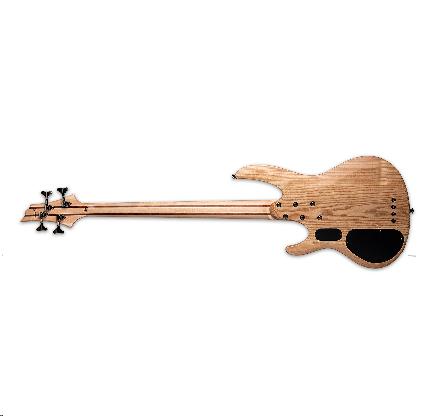 ESP LTD B-204 4-string fretless bass guitar with spalted maple body in natural finish, showcasing the smooth fretless fingerboard.
