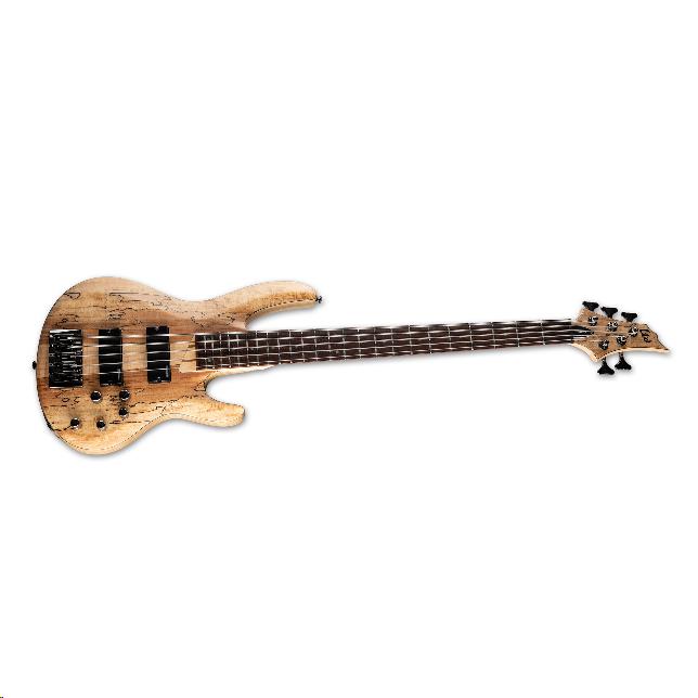 LTD B-205 5-String Bass Guitar Spalted Maple Natural Satin