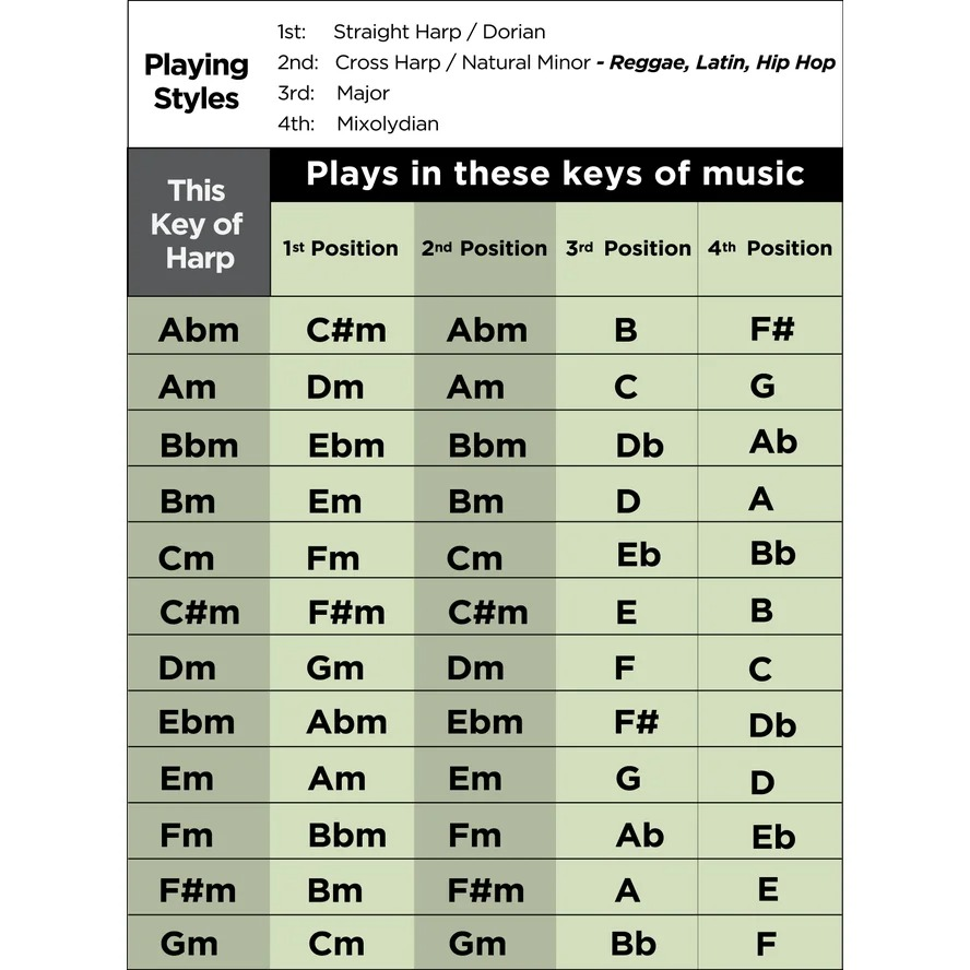 Lee Oskar Harmonica - Key F Sharp Natural Minor