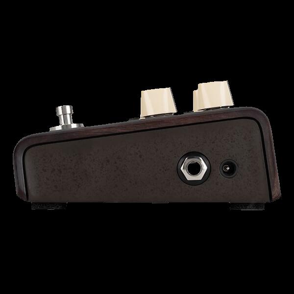 LR Baggs Align Delay Guitar Effects Pedal