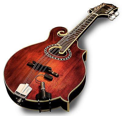 LR Baggs RADM Radius Mandolin Pickup with Jack