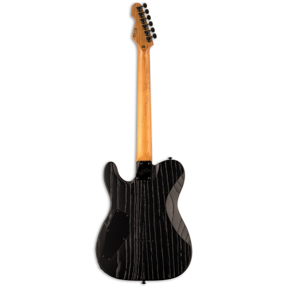 LTD TE-1000 Electric Guitar in Black Blast Finish