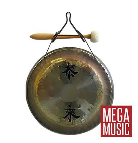 Paiste Deco Gong 13 inch with Wall Hanger and Beater