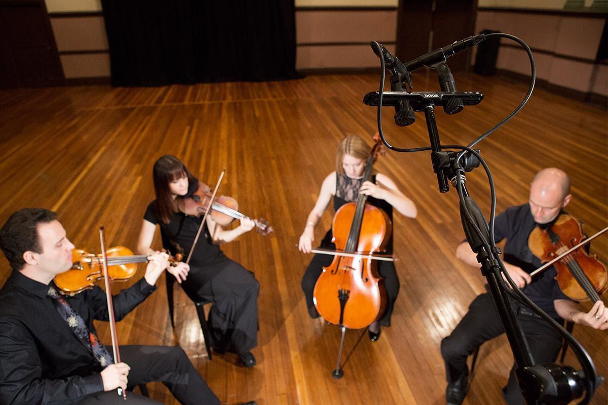 Rode M5 Matched Pair of Condenser Microphones (M5MP)