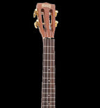 Mahalo MJ3VTTBR Java Series Tenor Ukulele - Natural