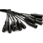 Mogami Gold 8x XLR Snake Loom Cable - 5 Foot
