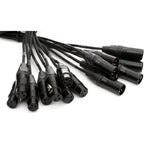 Mogami Gold 8x XLR Snake Loom Cable - 5 Foot
