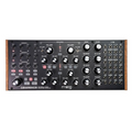 Moog Subharmonicon Semi-Modular Polyrhythmic Analog Synthesizer