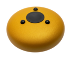 Mano Percussion MPC42GD gold 12-tongue drum viewed from the back, showcasing its polished surface and tuning holes.