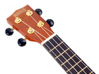 Mahalo M1 Rainbow Series Soprano Ukulele - Brown