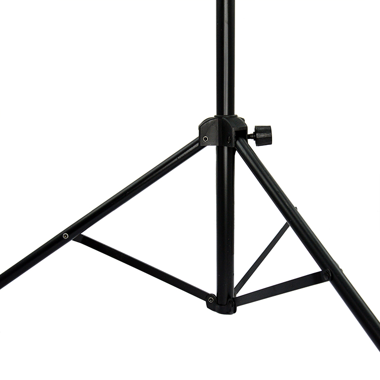 ProStand MS020 music stand with adjustable height and black finish, designed for sheet music and performances