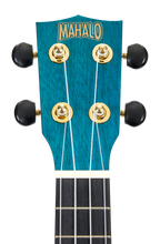 Mahalo MS1TBU Slimline ukulele headstock in transparent blue with tuning pegs and branding visible.