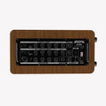 Aroma AG60A Acoustic Guitar Amplifier