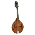 Barnes & Mullins BM600E Wimborne Mandolin with Pickup