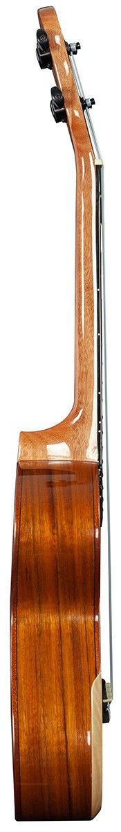 Barnes & Mullins BMUK5C Concert Ukulele in Walnut