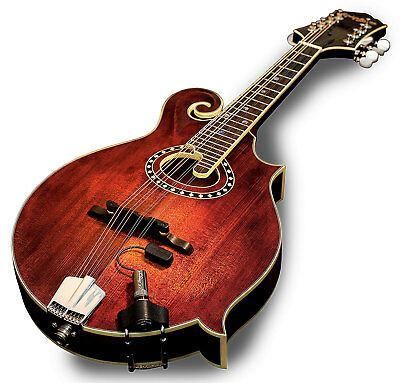 LR Baggs RADM Radius Mandolin Pickup with Jack